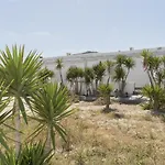 Thalassopetra