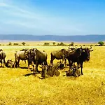 Enyati Lodge