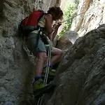 Spitakia