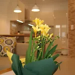 Brand New Luxury Apartment