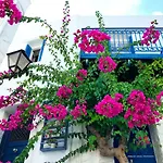 Next To The Bougainvillea!