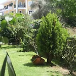 Arokaria Apartment