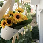 The 