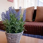 Nice & Quiet Apartment In Best Area