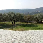 Olive Grove Villa