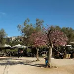 Athens Blossom House Under Acropolis With Private Entrance