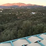 Ouzo Houses 1