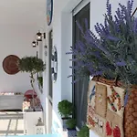 Petalida
