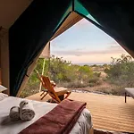 Shamwari Explorer Camp