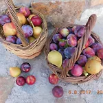 Ktima Pyroessa Orange Suite