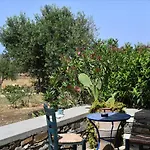Filizi Vacation Home