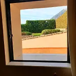 Elaianthos